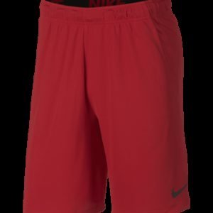 Nike Dry Short 4.0 Treenishortsit