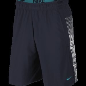 Nike Nk Dry Short 4.0 Lv Treenishortsit