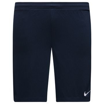 Nike Shortsit Dry Academy Navy/Valkoinen Lapset