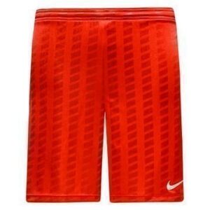 Nike Shortsit Dry Academy Punainen/Valkoinen Lapset