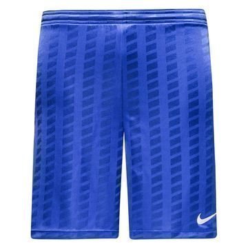 Nike Shortsit Dry Academy Sininen/Valkoinen Lapset