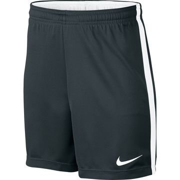 Nike Shortsit Dry Academy Vihreä/Valkoinen Lapset