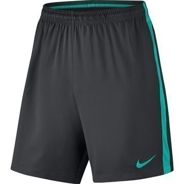 Nike Shortsit Dry Musta/Turkoosi