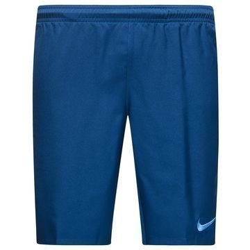 Nike Shortsit Dry Navy