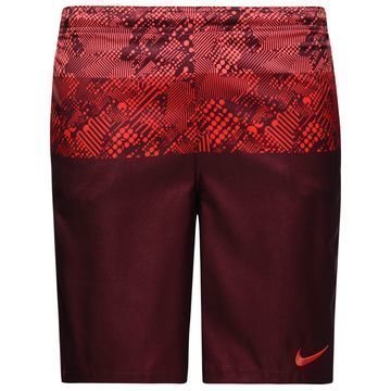 Nike Shortsit Dry Squad Viininpunainen/Punainen Lapset