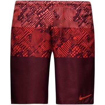 Nike Shortsit Dry Squad Viininpunainen/Punainen
