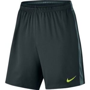 Nike Shortsit Dry Vihreä