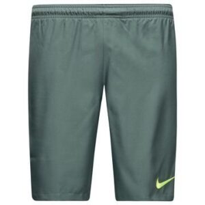 Nike Shortsit Dry Vihreä