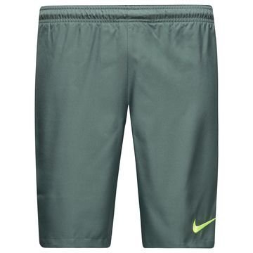 Nike Shortsit Dry Vihreä