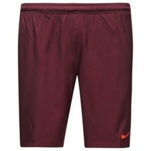 Nike Shortsit Dry Viininpunainen/Punainen