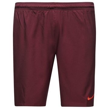 Nike Shortsit Dry Viininpunainen/Punainen