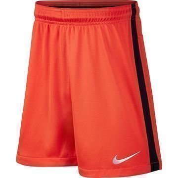 Nike Shortsit Neymar Jr. Dry Squad Oranssi/Hopea Lapset