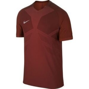 Nike Treenipaita AeroSwift Strike Viininpunainen/Punainen