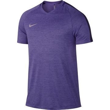 Nike Treenipaita Dry Top Prime Violetti/Violetti