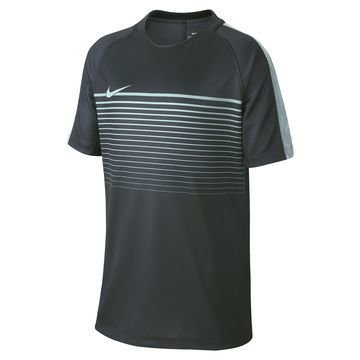 Nike Treenipaita Dry Top Squad Vihreä Lapset