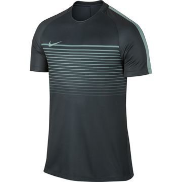 Nike Treenipaita Dry Top Squad Vihreä