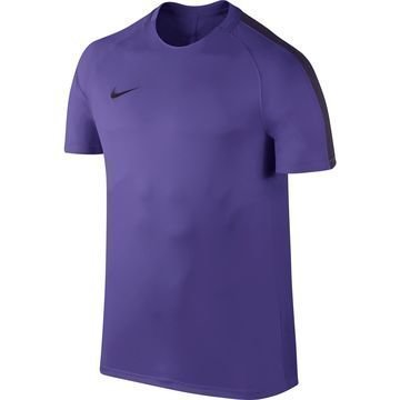 Nike Treenipaita Dry Top Violetti/Violetti