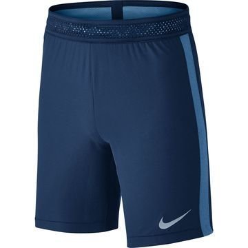 Nike Treenishortsit Strike AeroSwift Navy Lapset