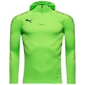 PUMA Huppari evoTRAINING Vihreä