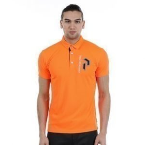 Panmore Polo