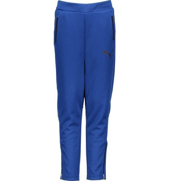 Puma Active Cell Polly Pants