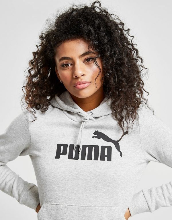 Puma Core Overhead Huppari Harmaa