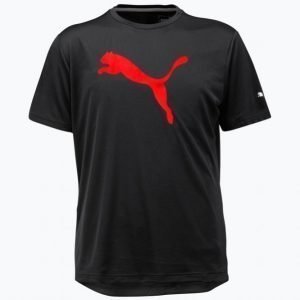 Puma Ess Dry Banded Tee T-Paita