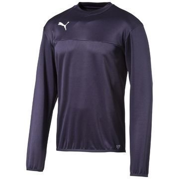 Puma Harjoituspaita Esquadra Sweat Laivastonsininen Lapset