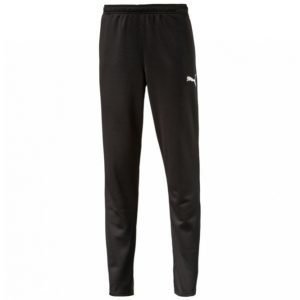 Puma Spirit Training Pants Housut