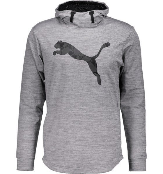 Puma Tech Fleece Hoodie