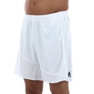 Regi 16 Short