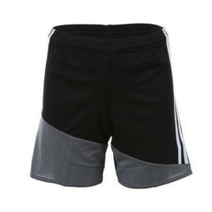 Regi 16 Short JR