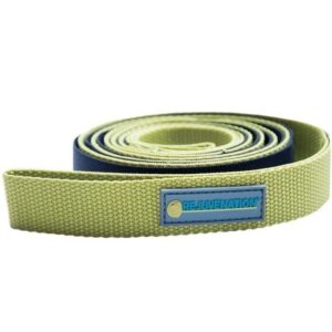 Rejuvenation Stretch and Flex Kit