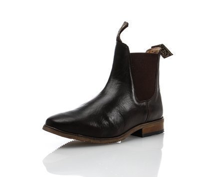 Mountain horse on sale resolute jodhpur