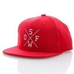 Rexdale Youth Snapback