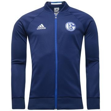 Schalke 04 Takki Anthem Sininen/Valkoinen
