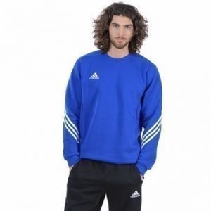 Sereno 14 Sweat Suit