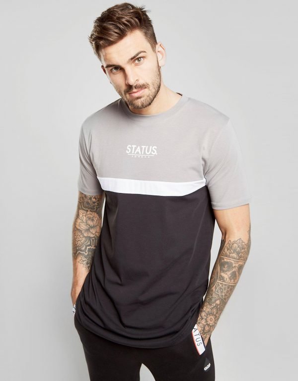 Status Lloyd T-Shirt Harmaa