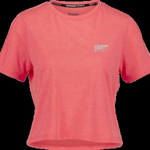 Superdry Core Crop Branded Tee Treenipaita