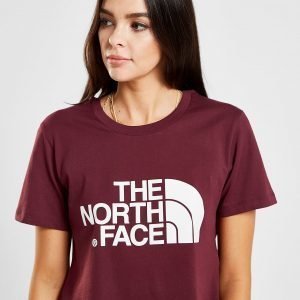 The North Face Crop Logo T-Shirt Violetti