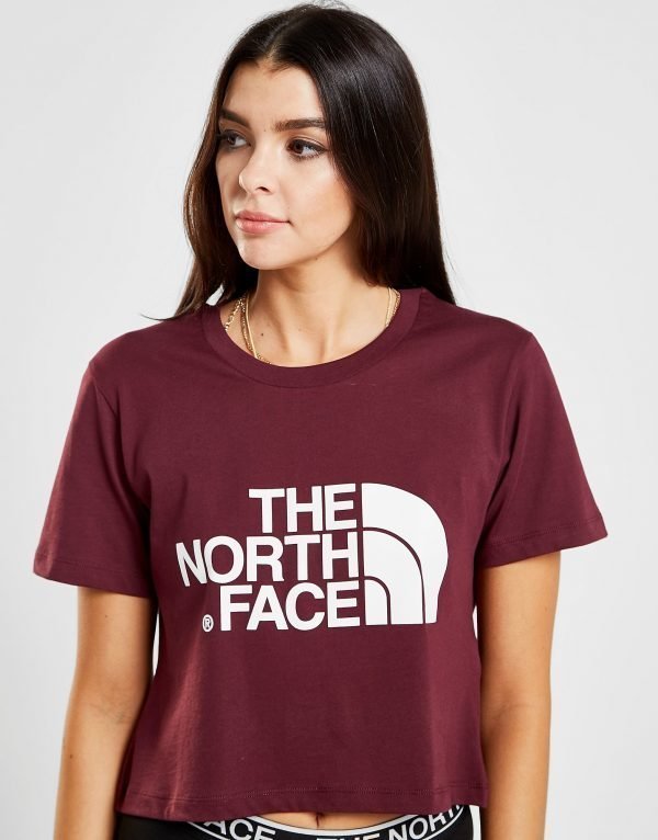 The North Face Crop Logo T-Shirt Violetti