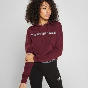 The North Face Embroidered Logo Crop Hoodie Punainen
