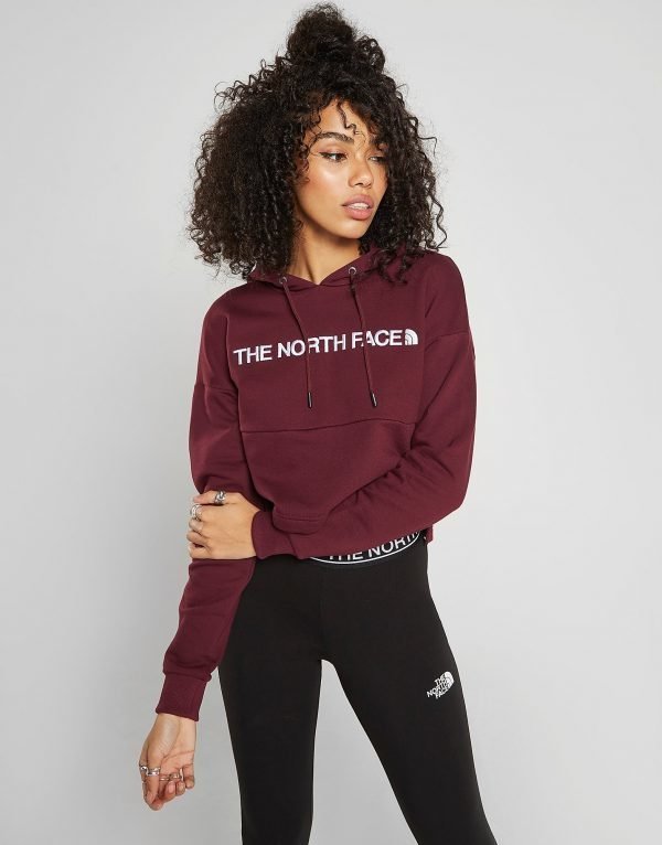 The North Face Embroidered Logo Crop Hoodie Punainen