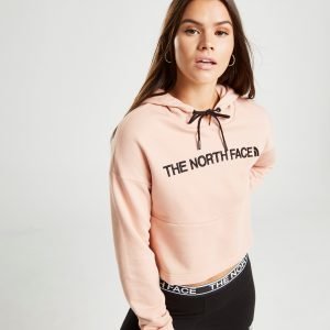 The North Face Embroidered Logo Crop Huppari Vaaleanpunainen