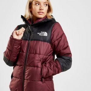 The North Face Panel Padded Takki Punainen