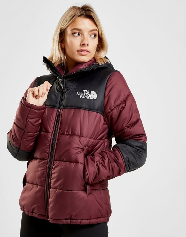 The North Face Panel Padded Takki Punainen