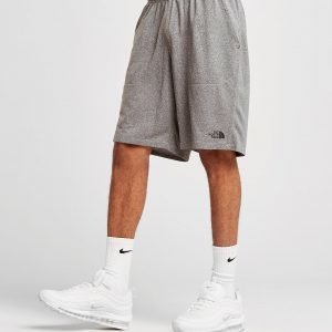 The North Face Reactor Poly Shorts Harmaa