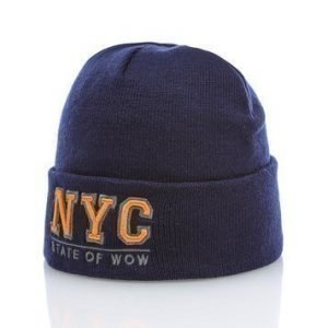 Toronto Jr Beanie