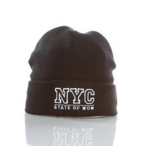 Toronto Jr Beanie