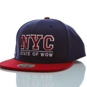 Toronto Youth Snapback